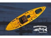 Barracuda Evolution